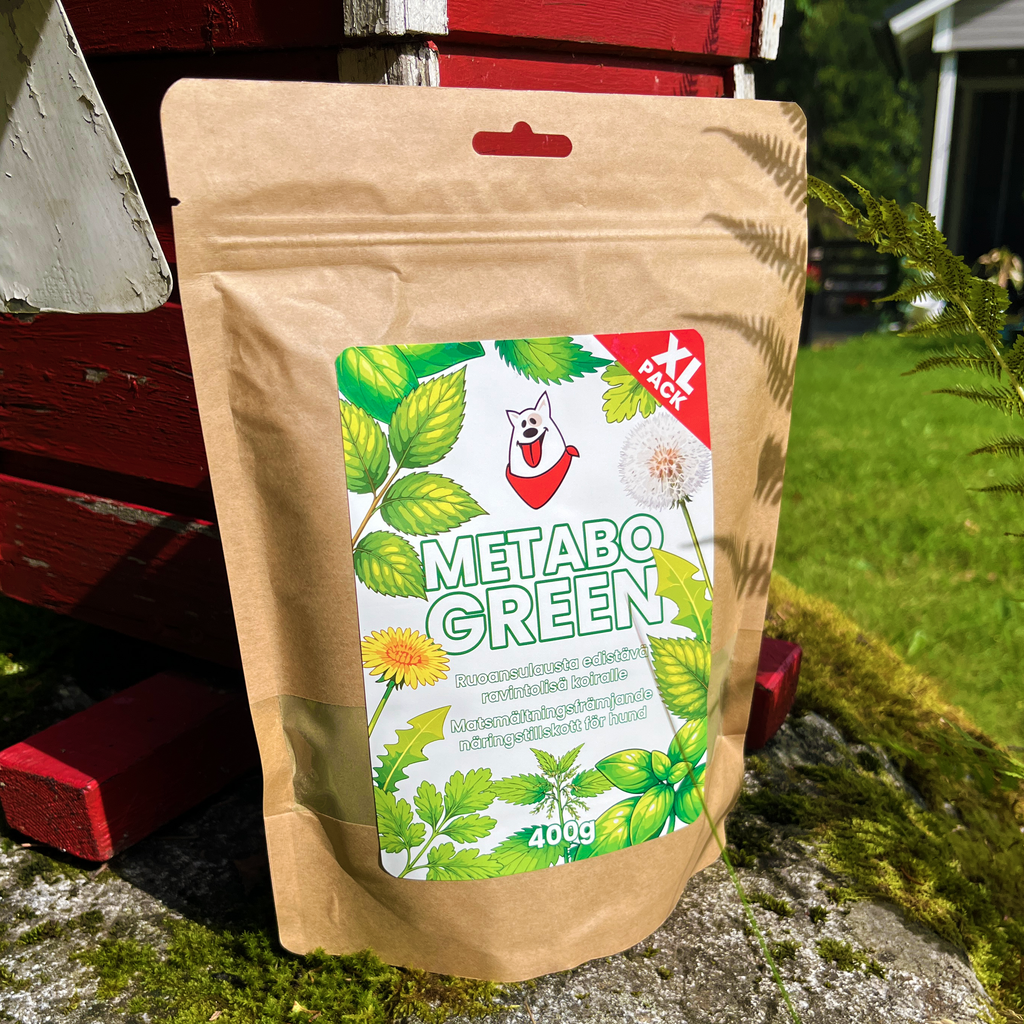 MetaboGreen 400 g XL-pakkaus